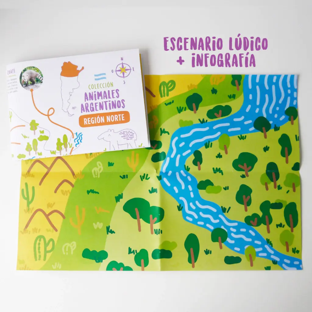 box creativo norte 4.webp