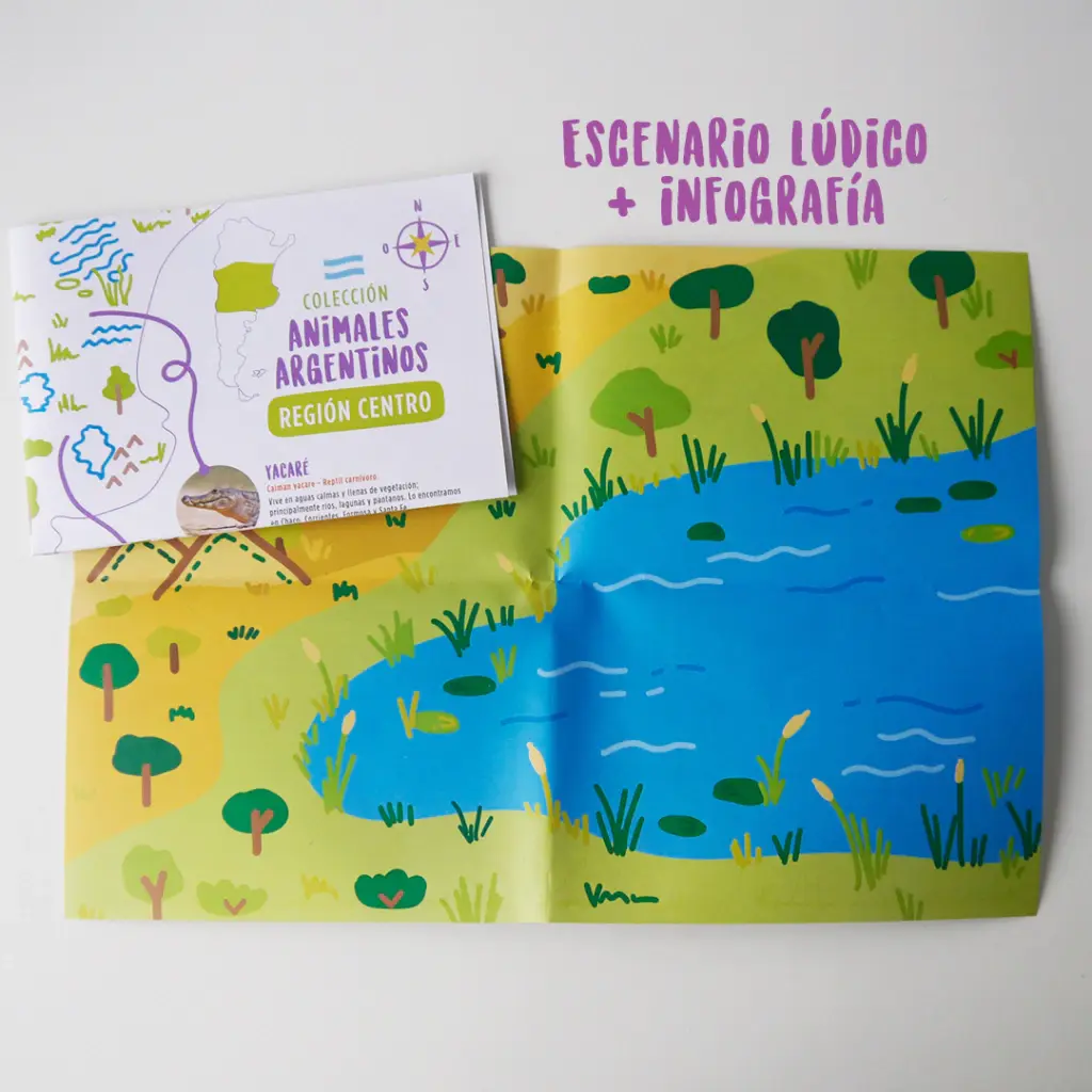 box creativo centro 3.webp